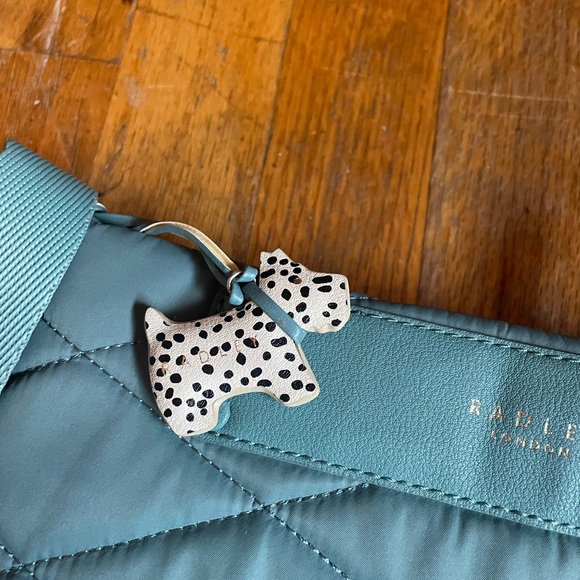 Radely London teal crossbody bag - Picture 4 of 6